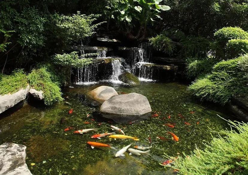 Pond Repair - Backyard Depot